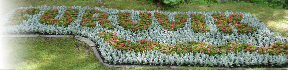 Foto: Blomrabatt